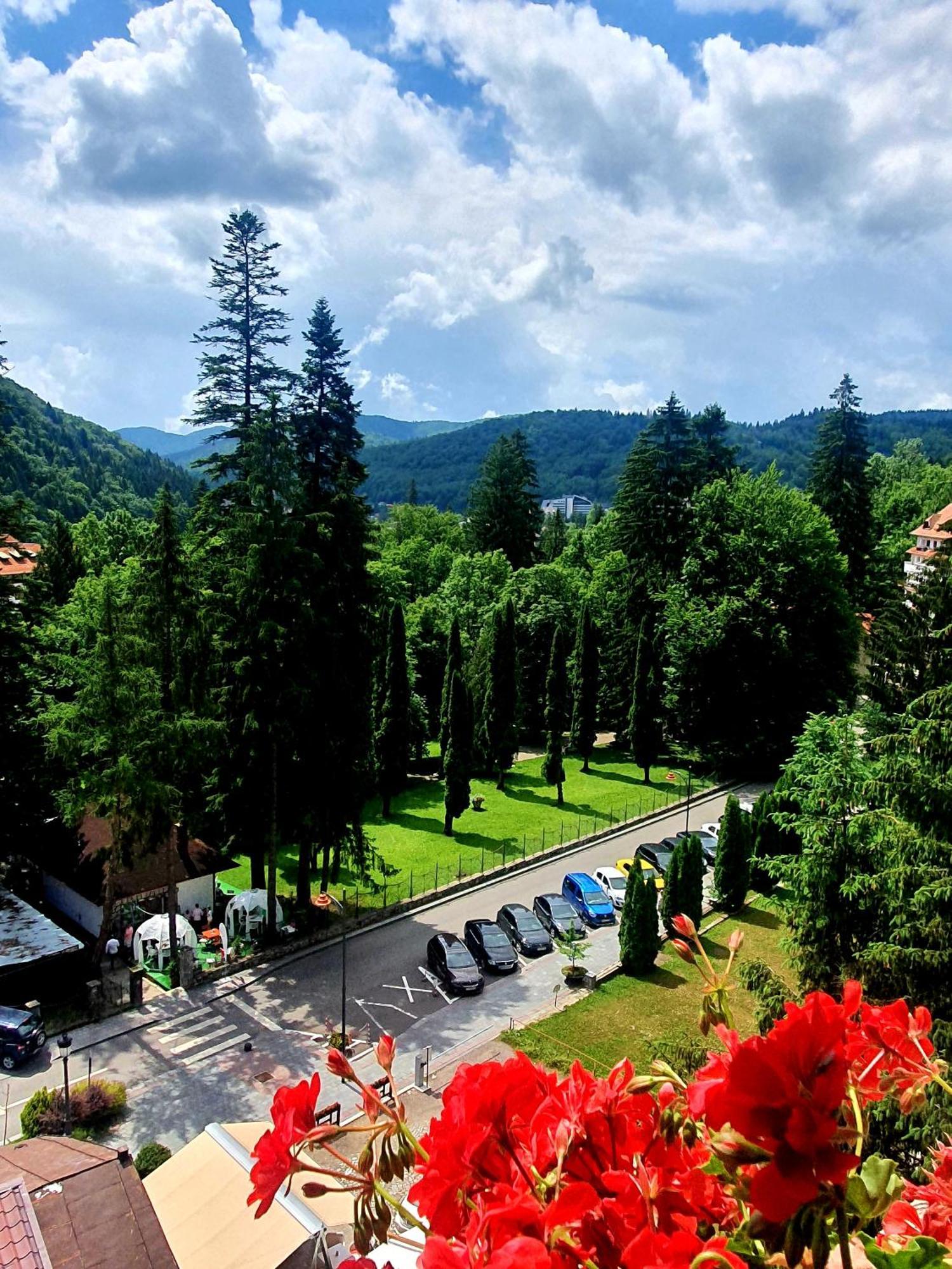 Laura 公寓 Sinaia